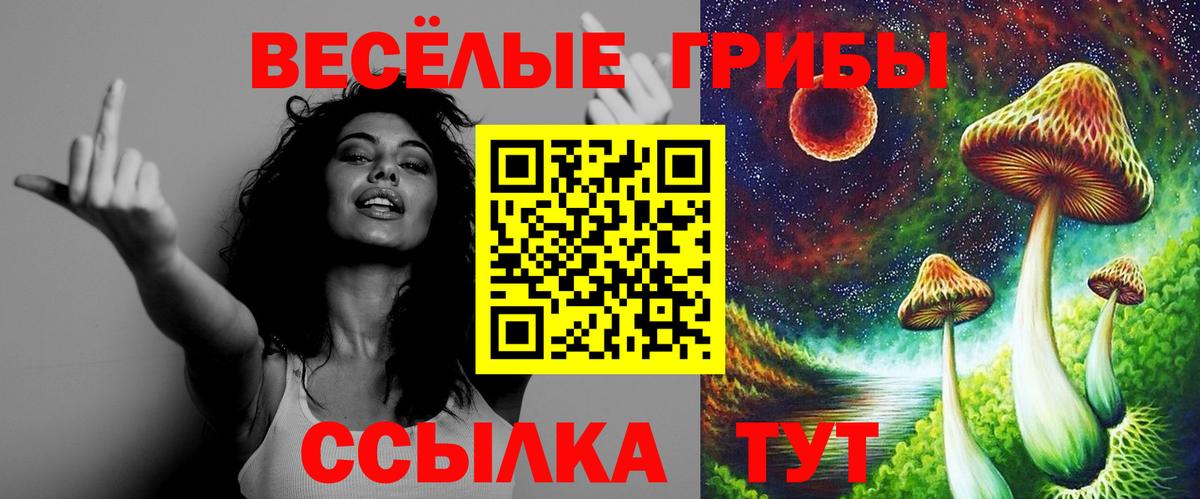 Псилоцибиновые грибы GOLDEN TEACHER Верхняя Пышма